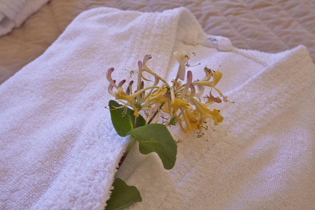 Mare E Monti - Hotel De Charme 펠리세토 외부 사진